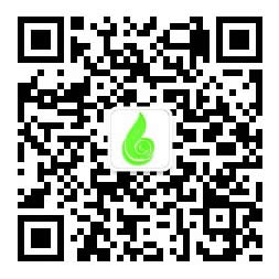 查看手機(jī)站